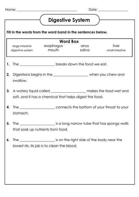 4th Grade Science Worksheets - Best Coloring Pages For Kids Digestive System Worksheet For Grade 4, Science Worksheet For Grade 5, Grade 4 Science Worksheets, Science Worksheets For 4th Grade, 6th Grade Science Worksheets, 4th Grade Science Worksheets, 7th Grade Science Worksheets, Digestive System Worksheet, Human Body Worksheets