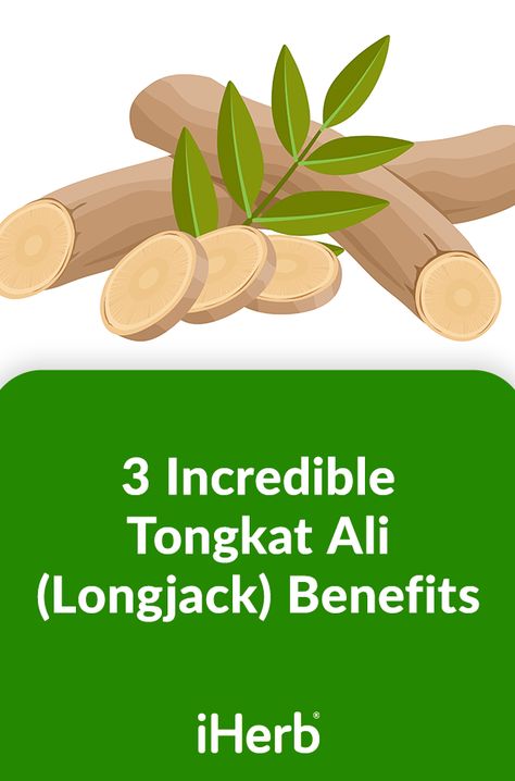 Tongkat Ali Benefits For Men, Tongkat Ali Benefits, Tongkat Ali, Lower Body Fat, Healthy Man, Lipid Profile, Testosterone Levels, Health Inspiration, Wellness Routine