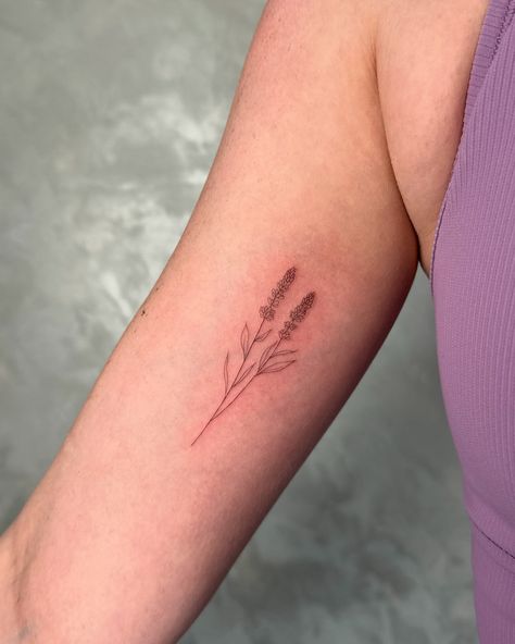 Lavender sprig 🪻 Made with @hustlebutterdeluxe @papatattoosupply #tattoo #tattoos #tattoostyle #fineline #finelinetattoo #tattoostudio #tattooartist #tattooideas #lavendertattoo #singleneedle Fineline Lavender Tattoo, Herb Tattoo, Lavender Tattoo, Fine Line Tattoos, Mini Tattoos, Tiny Tattoos, Tattoo Style, Tattoo Studio, Tattoos And Piercings