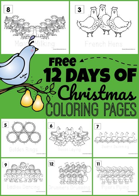 Holidays In December, Free Christmas Coloring Sheets, Christmas Colouring Pages, Popular Christmas Songs, Christmas Colouring, Preschool Play, Christmas Coloring Sheets, Christmas Worksheets, Christmas Program