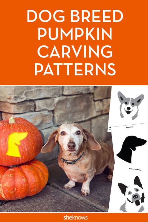 Cute Pet Names, Pumpkin Carving Patterns Free, Disney Pumpkin Carving, Printable Dog, Dog Pumpkin, Disney Pumpkin, Pumpkin Carving Designs, Pumpkin Printable, Pumpkin Carving Patterns