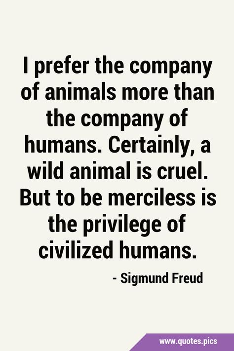 Humans Quotes, Animal Lover Quotes, Animal Captions, Humanity Quotes, Beautiful Sayings, Magic Quotes, Done Quotes, Quotes Pics, Literature Quotes