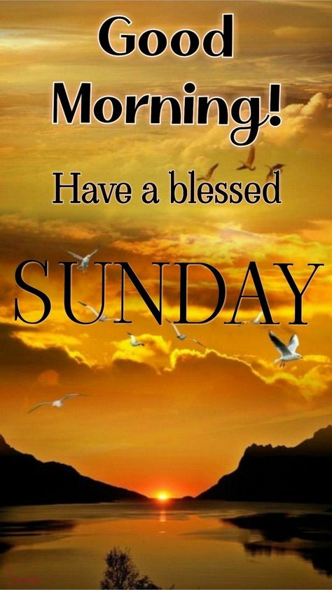 Sunday Good Morning Wishes, Morning Sunday Quotes, Good Morning Sunday Quotes, Morning Sunday Images, Sunday Morning Images, Wishing Quotes, Blessed Sunday Morning, Blessed Sunday Quotes, Quotes Sunday