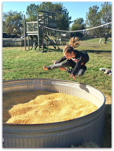 Pumpkin Patch Festival Ideas, Pumpkin Patch Corn Pit, Pumpkin Patch Garden Layout, Corn Play Pit, Pumpkin Patch Scarecrow, Pumpkin Patch Set Up Ideas, Farm Halloween Party, Farm Obstacle Course, Diy Pumpkin Patch For Kids