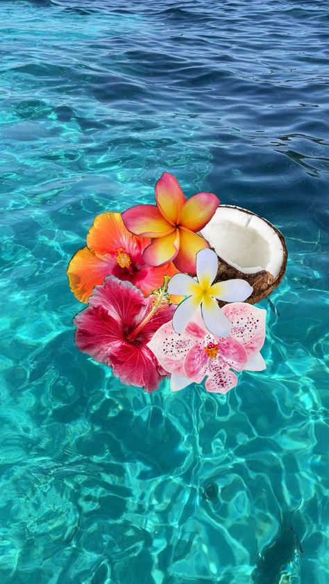 Tropical vibes #tropical #fyp #fypshuffle #ocean #october #vibes #cute Tropical Asthetic Photos, Tropicore Aesthetic, Tropical Aesthetic Summer Vibes, Tropical Summer Aesthetic, Beach Core, Tropical Core, Tropical Love, October Vibes, Tropical Aesthetic