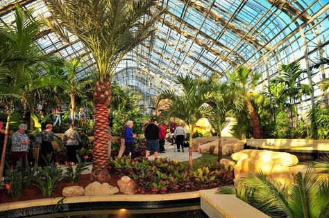 A view of the tropical house from the top of the stairs. Indoor Rainforest, Best Greenhouse, Other World, Garden Entrance, Dream Vacations Destinations, Tropical Escape, Tropical Destinations, Unusual Plants, Community Gardening