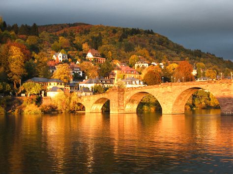 Heidelberg Germany, Famous Castles, Provence France, Famous Places, Oh The Places Youll Go, Pretty Places, Dream Destinations, Places Around The World, Cruises