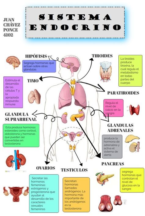 Studying Medicine, Medicine Notes, Medicine Studies, Vet Medicine, Nurse Study Notes, Medical Student Study, Medical Laboratory Science, Medicine Student, Medical School Inspiration