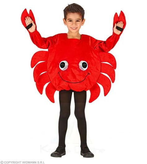 Insect Fancy Dress, Under The Sea Costumes, Crab Costume, Fancy Dress Costumes Kids, Sea Costume, Fish Costume, Diy Costumes Kids, Diy Kostüm, Animal Costumes