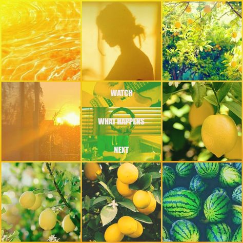 Yellow/green/summer/fruit/Waterparks aesthetic Waterparks Aesthetic, Make Your Own Character, Adopt Idea, Picture Boards, Rainbow Aesthetic, Mood Board Inspiration, Summer Theme, Just Peachy, Mood Board Design