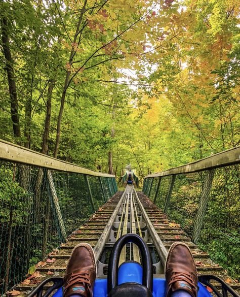 Everyone Should Try The Ridge Runner Mountain Coaster! Riding along “the ridge”, autumn-style, is one of the funnest things to do on a day trip from Toronto in the fall and winter. Known as the Ridge Runner Rollercoaster, this epic mountain coaster is gravity-powered and suitable for the whole family. While it may not have […] The post The Ridge Runner Mountain Coaster Provides Wintertime Thrills appeared first on Indie88. Mountain Roller Coaster, Wedding Challenge, Tiktok Wedding, Mountain Coaster, Alpine Slide, Alpine Coaster, Ride Along, Downtown Toronto, The Blue Mountains