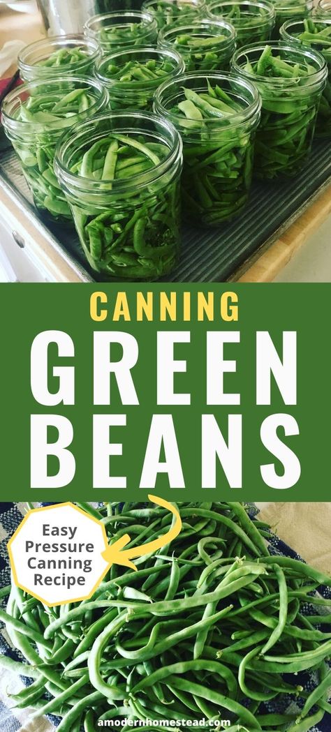 Pressure Canning Green Beans, Canned Green Bean Recipes, Green Beans Easy, Canning Green Beans, Canning Beans, Preparedness Ideas, Easy Canning, Snap Beans, Pressure Canning Recipes