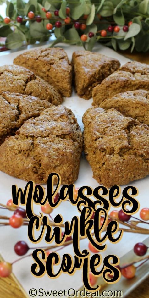 Molasses Crinkle Scones are a delicious part of breakfast or snack with a crinkle rustic crunchy crust. Fall Flavored Scones, Fall Scone Flavors, Fall Scones Recipe, Molasses Scones, Fall Scones, Christmas Scones, Sweet Scones, Thanksgiving Tea, Thanksgiving Festivities