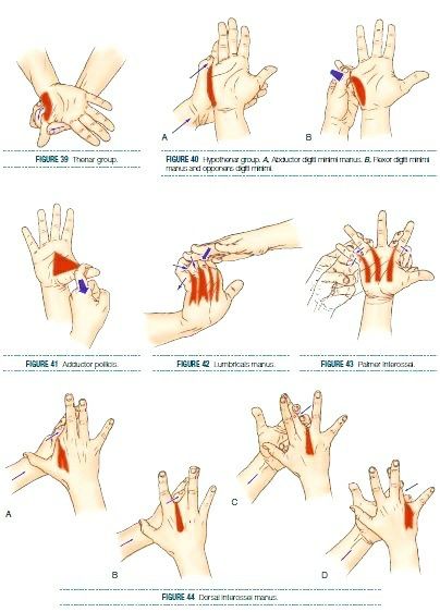 Water Aerobics Routine, Hand Therapy Exercises, Carpal Tunnel Exercises, Finger Stretches, Hata Yoga, Gym Workout Apps, Wrist Exercises, Massage Therapy Techniques, Physical Therapy Exercises