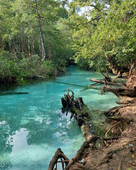 Chantal B. 😘❤ on Instagram: “Caño Frío 📍😍 Me encantaaa . . . . . . . . . #explore #nature #excursion #samaná #beach #cañofriosamana #cañofrio #republicadominicana…” Samana Dominican Republic, Study Abroad Travel, Explore Nature, Punta Cana, Heaven On Earth, Study Abroad, Dominican Republic, Ballet, Lifestyle