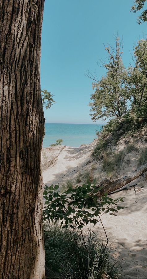 Indiana Sand Dunes, Indiana Aesthetic, Travel Indiana, Indiana Dunes National Park, Summer Vision, Indiana Dunes, Pine Forest, Sand Dunes, Usa Travel