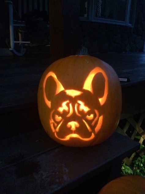 Pumpkin Carving French Bulldog, Pumpkin Carving Ideas French Bulldog, Dog Jackolantern Ideas, Cute Dog Pumpkin Carving Ideas, French Bulldog Pumpkin Carving, Frenchie Pumpkin Carving, Country Pumpkin Carving, Frenchie Pumpkin, French Bulldog Pumpkin