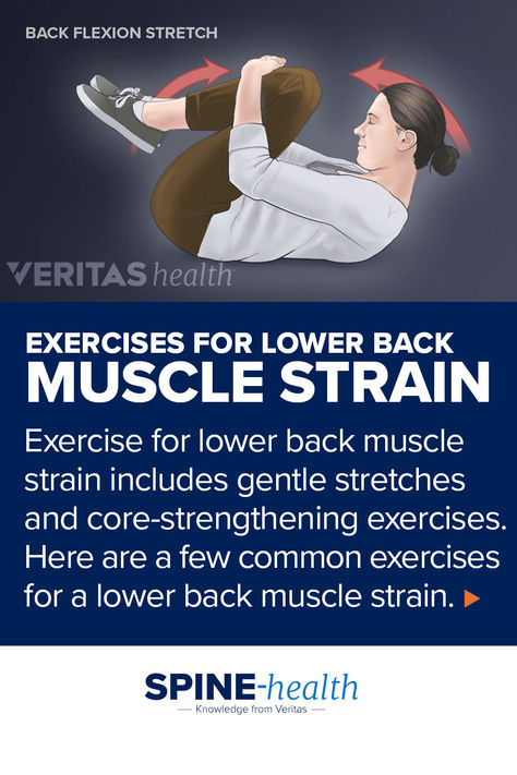 Illustration of a woman performing a flexion stretch. Lower Back Muscles Anatomy, Exercise For Lower Back, Exercises For Lower Back, Back Workout Women, Lower Body Muscles, Back Muscle, Core Strengthening Exercises, Lower Back Muscles, Body Muscles