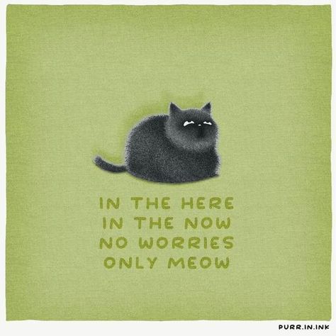 In The Now, Vie Motivation, A Black Cat, Cat Quotes, Crazy Cat Lady, 귀여운 동물, Pretty Words, Crazy Cats, Cat Love