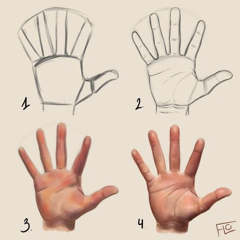 Drawing a hand step by step Made in Photoshop using a Wacom drawing tablet You can find the tutorial video on YouTube ❤ 🎄 Happy Holidays!… Drawing A Hand, Art With Flo, Hand Step By Step, Beautiful Pencil Drawings, Draw Hands, Drawing Hands, Hand Drawing Reference, Drawing Tablet, Hand Sketch