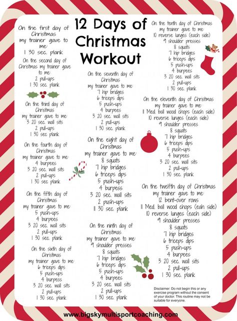 It's that time of year... we're too busy drinking eggnog and munching on gingerbread men cookies, shopping for presents, getting drunk at the annual company holiday party, and/or attempting to hang... Christmas Workout, Holiday Workout, The 12 Days Of Christmas, Boot Camp Workout, Challenge Group, Twelve Days Of Christmas, Fitness Challenge, I Work Out, 12 Days Of Christmas