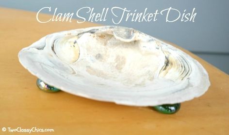 Craft Project - Clam Shell Trinket Dish - A great way to use up those collected clam shells from your beach vacation! Super easy to make! Clamshell Crafts, Soap Dish Diy, Shell Soap Dish, Beach Projects, Diy Dish Soap, Shell Painting, Shell Trinket Dish, Coastal Crafts, Beach Shells