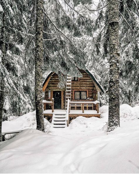 A Cabin In The Woods, Ecological House, Cabin Living, Winter Cabin, Little Cabin, Deco Boheme, A Cabin, Places In The World, Cabin In The Woods