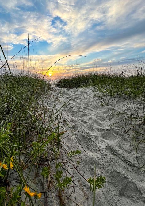 This image was photographed at Vilano Beach Easter morning, April 17, 2022.  This path is one of my favorite beach paths to photograph from.  The dune flowers add extra beauty in the spring/summer months. May Vibes Aesthetic, Spring Summer Aesthetic, Summer Core, Summer Beach Vibes, Beach Path, Summer Lifestyle, Easter Morning, Summer 2025, Summer Morning