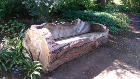 Make a simple bench from a fallen tree. Tree Trunk Bench Outdoor Seating, Bench From Tree Trunk, Chainsaw Furniture, Tree Trunk Bench, Hill Terrace, Simple Bench, Tree Seat, Cedar Bench, Carved Bench