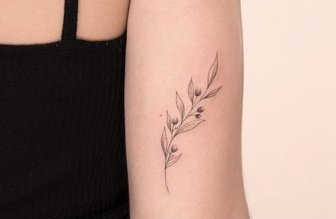 Olive Branch Tattoo With Name, Feminine Olive Branch Tattoo, Vine Branch Tattoo, Olive Branch Tattoo Dainty, Olive Branch Bracelet Tattoo, Branch And Vine Tattoo, Olive Branch Tattoo Back Of Arm, Delicate Olive Branch Tattoo Simple, Olive Branch Tattoo Ideas