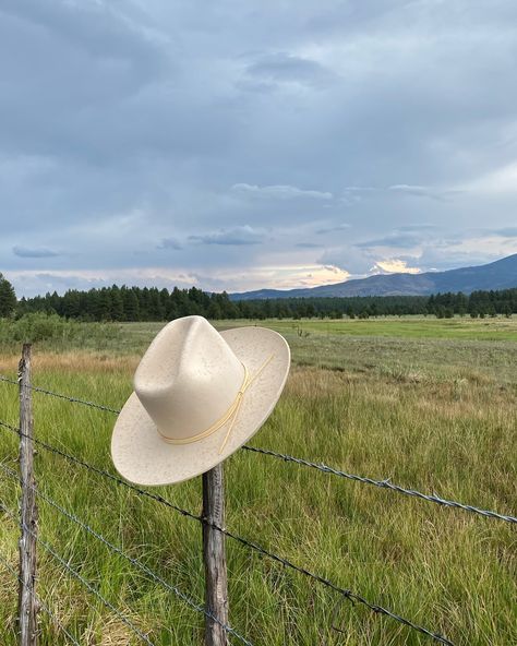 Blonde Cowboy, Cowboy Hat Aesthetic, White Cowboy Hat, Cowboy Aesthetic, Hat Aesthetic, Cowboy Hat, Wyoming, Camera Roll, Clean Out