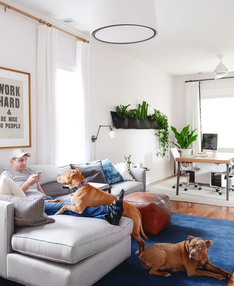 How We Keep a (Mostly) Clean and Healthy Pet-Friendly Home - Yellow Brick Home Dog Friendly Living Room, Pet Friendly Living Room, Living Room Plan, Home Nails, Nails Home, Pet Friendly House, Lets Stay Home, Home Design Inspiration, Girl Bedroom Designs