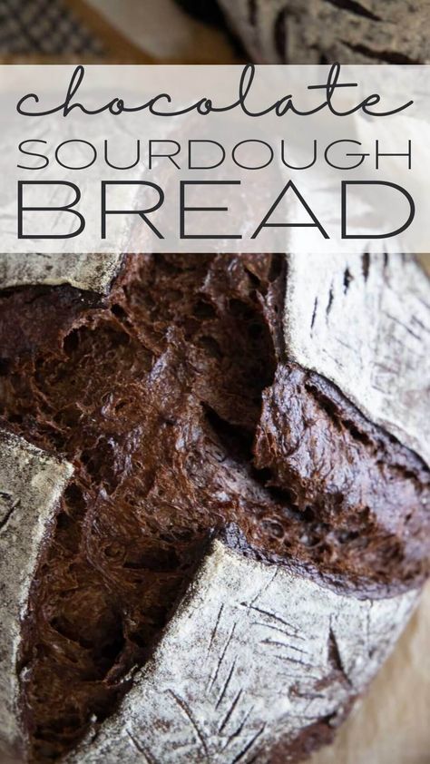 Make this amazing sourdough chocolate bread with step by step instructions. It tastes amazing and the perfect chocolate treat. Chocolate Sourdough Bread Recipe, Chocolate Sourdough Bread, Chocolate Chip Sourdough, Chocolate Sourdough, Recipe Using Sourdough Starter, Sourdough Starter Discard Recipe, Chocolate Chip Bread, Local Bakery, Homemade Sourdough Bread