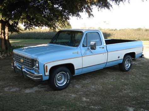 How about some pics of 73-87 Long Beds? - Page 43 - The 1947 - Present Chevrolet & GMC Truck Message Board Network C10 Chevy Truck 73-87 Long Bed, Chevy C10 73-87, C10 Chevy Truck 73-87, 1980s Trucks, 1976 Chevy Truck, 1973 Chevy Truck, 1978 Chevy Truck, 87 Chevy Truck, Single Cab Trucks