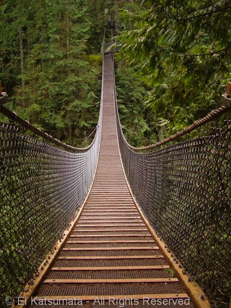 Capilano Suspension Bridge over Lynn Canyon,North Vancouver, British Columbia, Canada | by Ei Katsumata, via Flickr Suspension Bridge Vancouver, Lynn Canyon Suspension Bridge, Lynn Canyon, Sea To Sky Highway, Capilano Suspension Bridge, Western Canada, Bridge Building, Vancouver British Columbia, North Vancouver