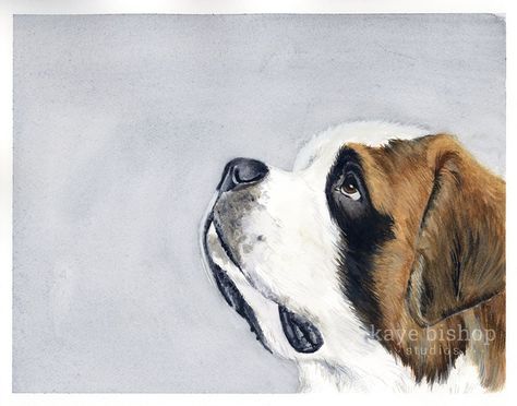 Dog Breed Art, St Bernards, St Bernard Dogs, Dog Rocks, Bernard Dog, Watercolour Inspiration, Animal Quilts, St Bernard, Mountain Dogs