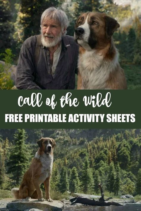 Call Of The Wild Activities, Middle School Literature, Novel Activities, The Call Of The Wild, Summer Writing, Free Printable Activities, Homeschooling Ideas, Call Of The Wild, Wild Free