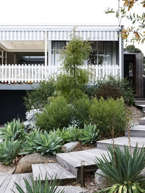 Simple Front Yard Landscaping Australian, Garden Slope, Garden Planing, Garden Pathways, Australian Native Garden, Yard House, Succulent Landscaping, Ibiza Style, Australian Garden