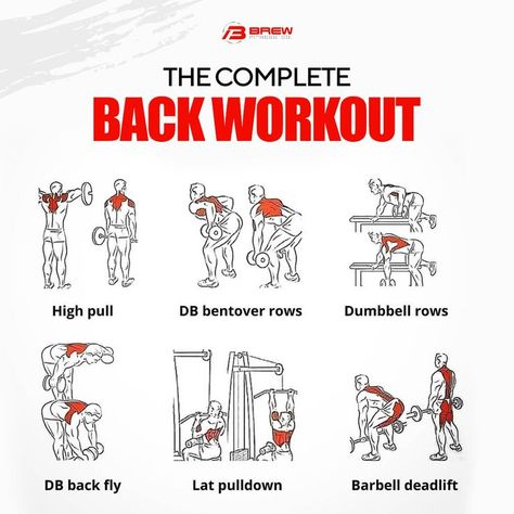 Wings Workout For Men, Wing Workout, Workout Dumbell, Wings Workout, Complete Body Workout, Back Workout Routine, Dumbbell Workout At Home, Back Day Workout, Gym Workout Guide