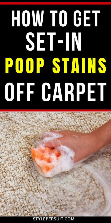 Similar to cleaning dog pee or getting rid of pet odors, effectively cleaning poop stains from your carpet requires some effort and the right cleaning supplies. Here’s a simple guide Clean Carpet Stains Pets, Dog Pee Stains Out Of Carpet, Dog Pee Smell Out Of Carpet, Pet Stains Out Of Carpet, Cleaning Dog Pee, Stains Out Of Carpet, Dog Pee Smell, Pee Stains, Diy Stain Remover