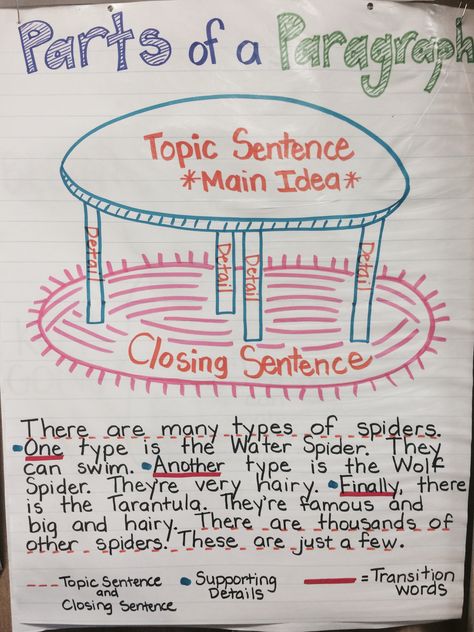 Parts of a paragraph anchor chart. Parts Of A Paragraph Anchor Chart, Paragraph Anchor Chart, Parts Of A Paragraph, Reading Intervention Classroom, Teaching Paragraph Writing, Teaching Syllables, Written Expression, 5th Grade Writing, Uk English