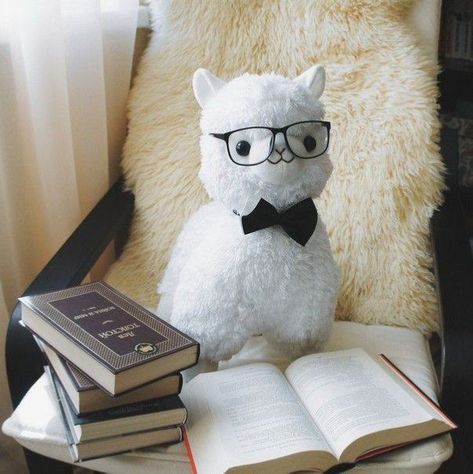 Llama, Stuffed Animal, White