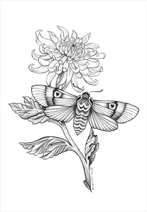 Moth with hearts in the wings in front of a chrysanthemum flower (birth flower of scorpio) in black on white and white on pink Chrysanthemum Scorpio Tattoo, Chrysanthemum Flower Tattoo, Flower Tat, Wiccan Tattoos, Chrysanthemum Tattoo, Birthday Tattoo, Mughal Art Paintings, Scorpio Tattoo, Moth Tattoo