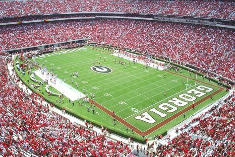 Uga Stadium, Dawgs Football, Biggest Stadium, Georgia Bulldawgs, College Memories, Sanford Stadium, Uga Football, Uga Bulldogs, Georgia Dawgs