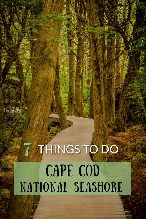 Best things to do at the Cape Cod National Seashore in Massachusetts Cape Cod To Do, How To Dress For Cape Cod, Cape Cod In September, Cape Cod September, Cape Cod October, Cape Cod Things To Do Fall, West Yarmouth Cape Cod, Cape Cod Things To Do Summer, South Yarmouth Cape Cod