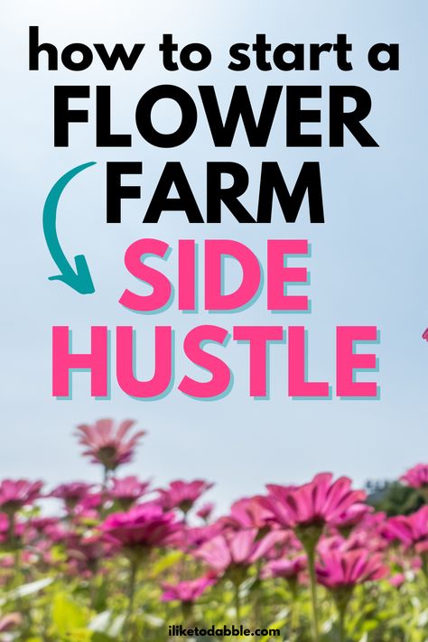 Learn how to start a small-scale backyard flower farm as a side hustle and how to make money as a flower farmer in this free guide. How To Become A Flower Farmer, Small Scale Flower Farming, Backyard Business Ideas, Small Hobby Farm Layout, How To Start A You Pick Flower Farm, Flower Farm For Beginners, How To Sell Flowers, Starting A Flower Business, Start A Flower Farm