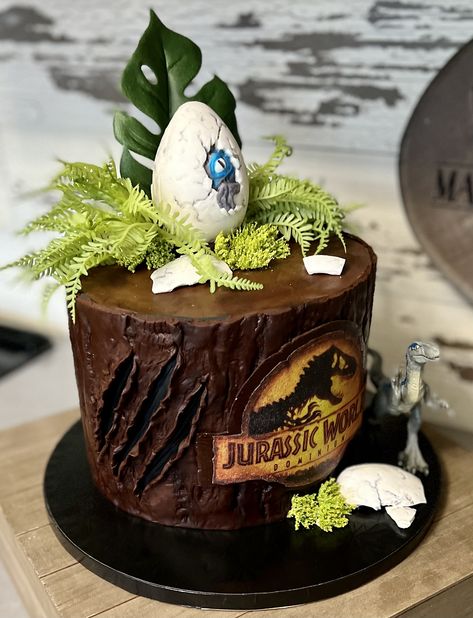 Jurassic World Cakes, Jurassic World Cake Simple, Jurassic Park Cake Ideas, Jurassic World Dominion Cake, Jurassic Park Cake Birthdays, Camp Cretaceous Cake, Pastel Jurassic World, Jurassic World Cake Ideas, Bolo Jurassic World