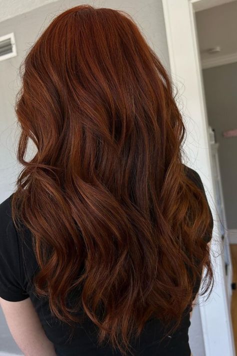 Dark Auburn Hair With Lowlights, Light Brown Hair With Red, Warm Red Brown Hair, Light Brown Hair With Red Highlights, Brown Hair With Red Highlights, Brown Hair With Red, Hair With Red Highlights, Auburn Hair Color Ideas, Red Highlights In Brown Hair