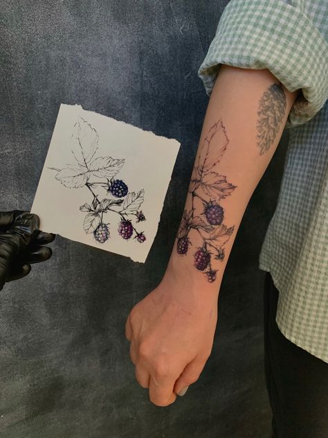 Blackberry Arm Tattoo, Fine Line Blackberry Tattoo, Wild Berry Tattoo, Blackberry Bramble Tattoo, Berry Tattoo Ideas, Blackberry Branch Tattoo, Blackberry Flower Tattoo, Blackberries Tattoo, Berry Tattoos