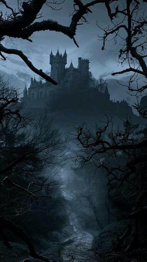 Dark Forest Castle Aesthetic, Goth Castle Aesthetic, Barovia Aesthetic, Dark Castle Aesthetic, Mysterious Castle, Dark Fairytale Aesthetic, Goth Castle, Facts About Halloween, Gothic Landscape